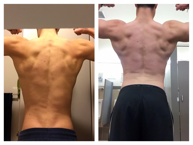 35 lbs Muscle Gain 6 feet 4 Male 190 lbs to 225 lbs