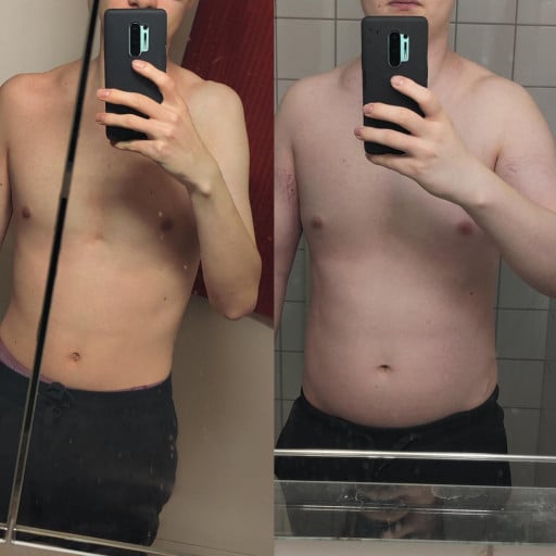 6 foot Male 76 lbs Muscle Gain Before and After 117 lbs to 193 lbs