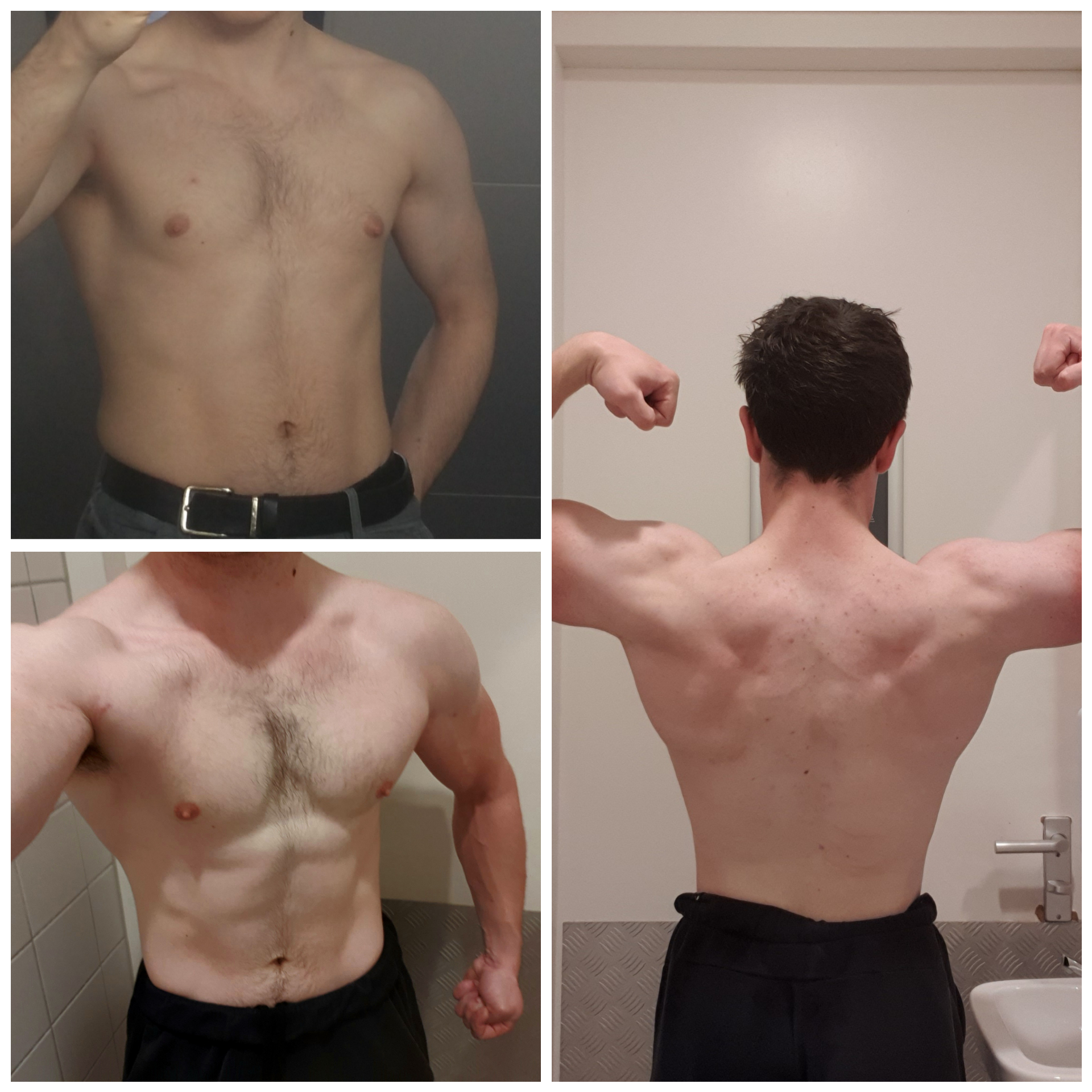 5'11 Male 30 lbs Muscle Gain 146 lbs to 176 lbs