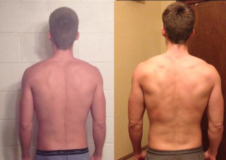 An 8 Month Weight Journey: Progress in Back, Lat, and Triceps