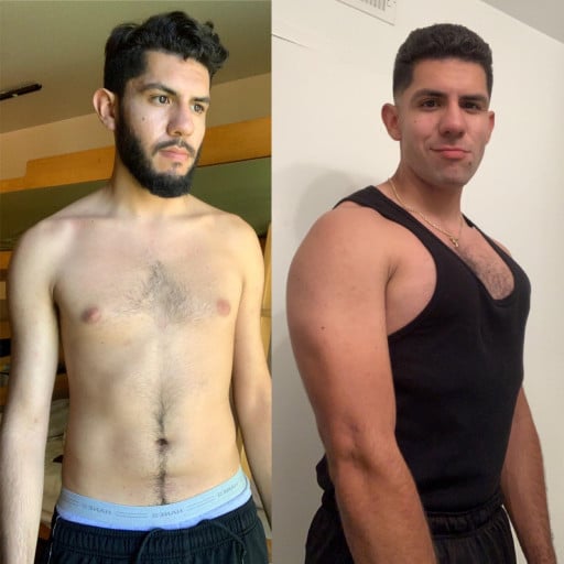 18 lbs Muscle Gain Before and After 6'1 Male 150 lbs to 168 lbs