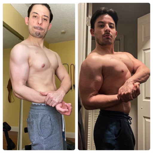5 feet 7 Male Progress Pics of 30 lbs Muscle Gain 145 lbs to 175 lbs
