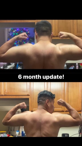 5 feet 8 Male Before and After 5 lbs Fat Loss 240 lbs to 235 lbs