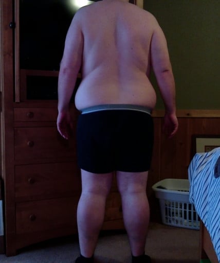 One Man's Journey to Lose Weight: a Look at Astroidfree's Progress