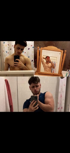 Progress Pics of 10 lbs Muscle Gain 6 foot Male 163 lbs to 173 lbs