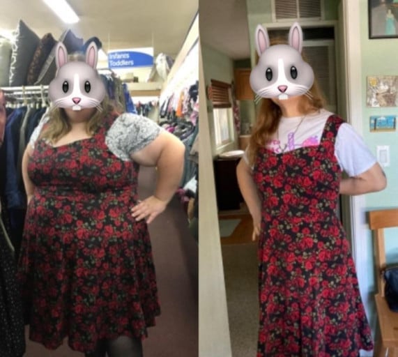 5 feet 5 Female 225 lbs Fat Loss Before and After 375 lbs to 150 lbs