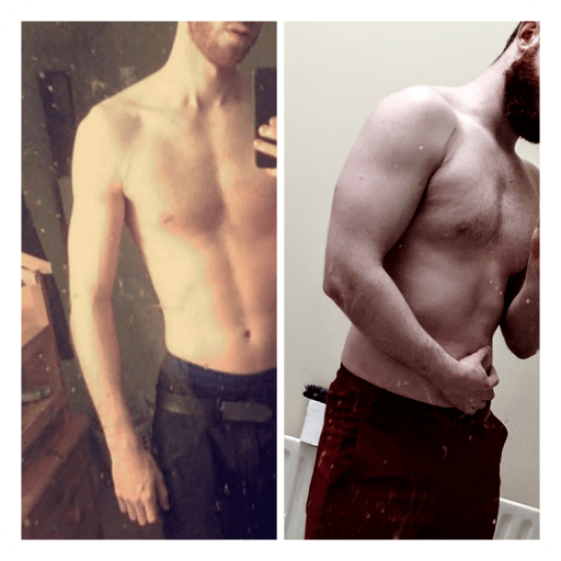 Progress Pics of 43 lbs Muscle Gain 6 foot 2 Male 155 lbs to 198 lbs