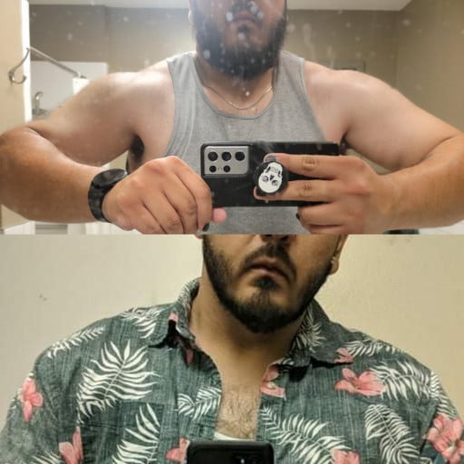 6 foot 3 Male Before and After 7 lbs Weight Gain 298 lbs to 305 lbs