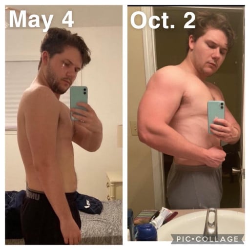 A progress pic of a 5'10" man showing a muscle gain from 186 pounds to 203 pounds. A total gain of 17 pounds.