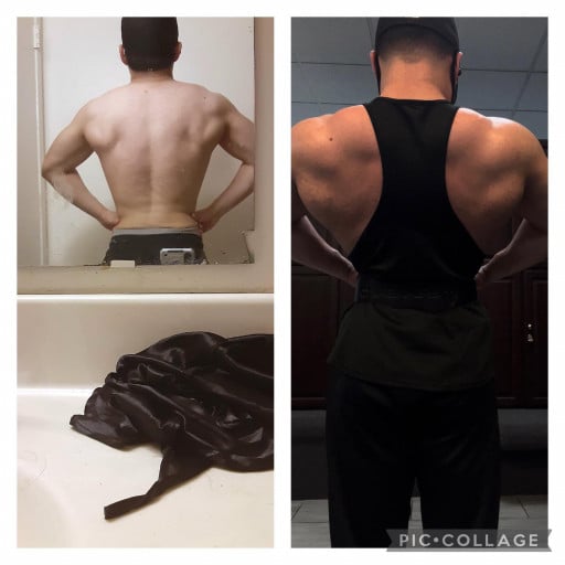 Progress Pics of 48 lbs Muscle Gain 5'6 Male 135 lbs to 183 lbs