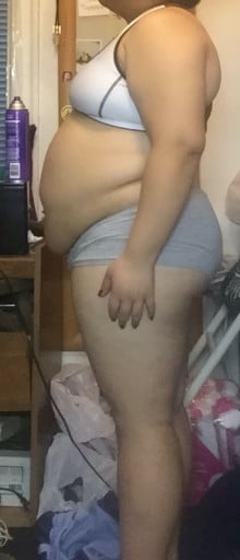 3 Pics of a 225 lbs 5 foot Female Weight Snapshot