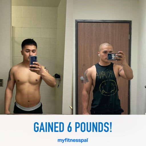 Before and After 6 lbs Muscle Gain 5 feet 4 Male 150 lbs to 156 lbs
