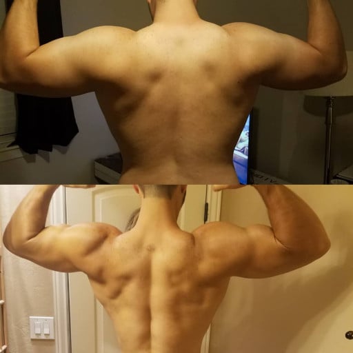 Progress Pics of 30 lbs Fat Loss 6'3 Male 280 lbs to 250 lbs
