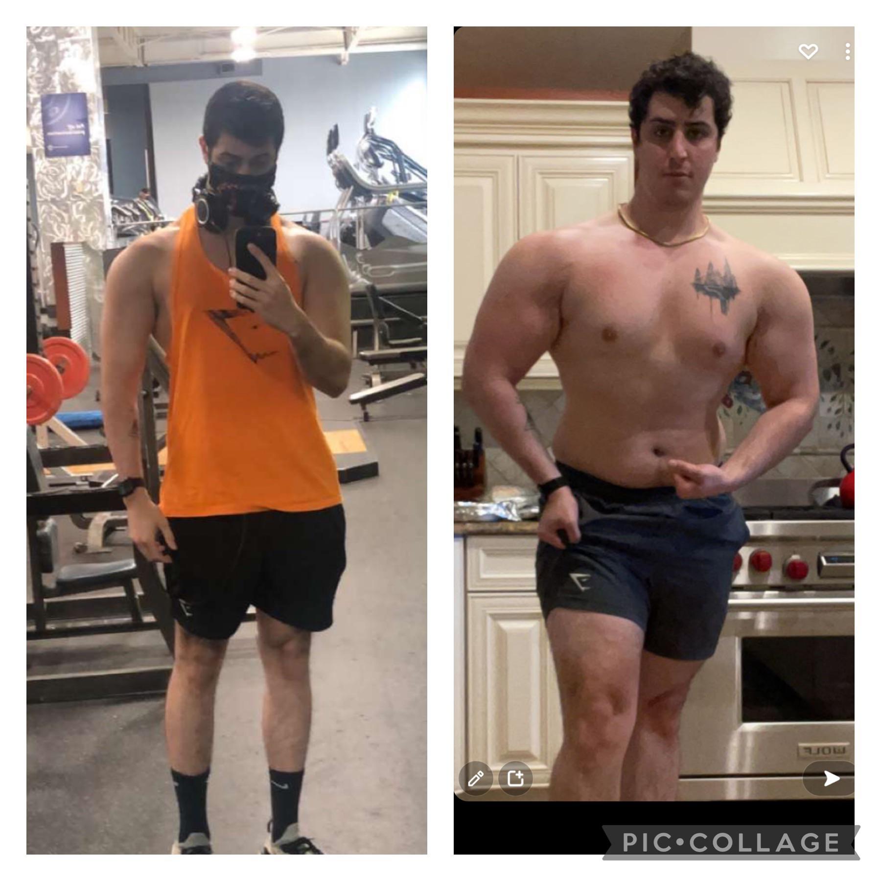 6'2 Male 71 lbs Muscle Gain 174 lbs to 245 lbs