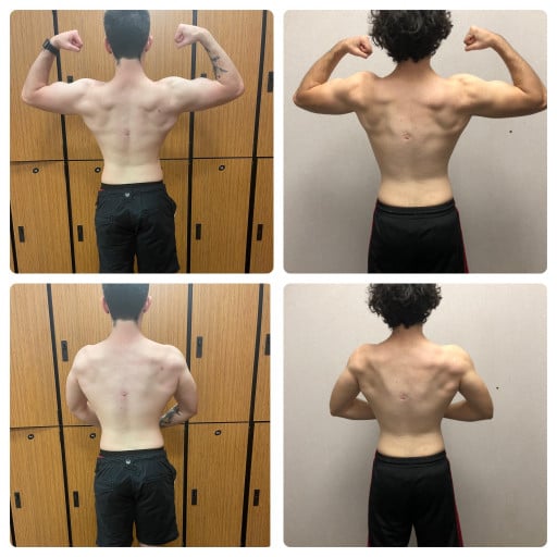 14 lbs Muscle Gain Before and After 5 foot 10 Male 150 lbs to 164 lbs