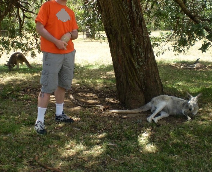 30 lbs Weight Loss Before and After 6 feet 5 Male 275 lbs to 245 lbs