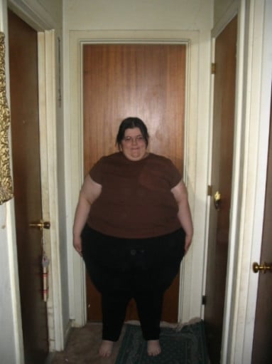 A progress pic of a 5'0" woman showing a weight cut from 424 pounds to 254 pounds. A total loss of 170 pounds.