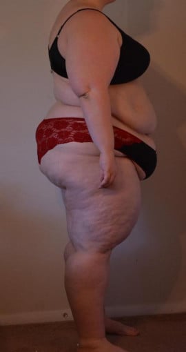 A photo of a 5'6" woman showing a snapshot of 325 pounds at a height of 5'6