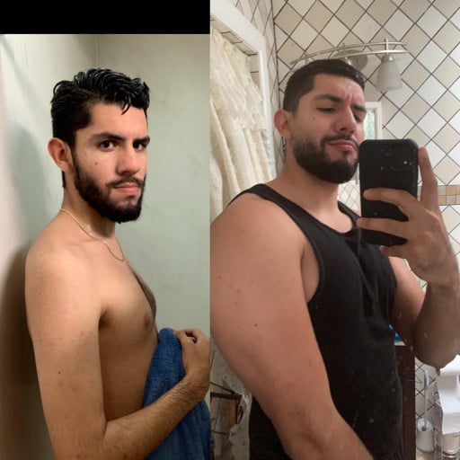 Progress Pics of 40 lbs Muscle Gain 6 foot 1 Male 150 lbs to 190 lbs