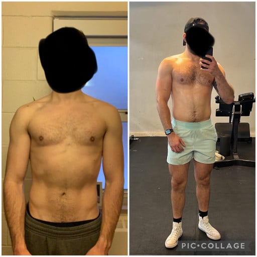 M/25/5’10” [165 lbs - 184 lbs] (3 years) on and off, I don’t know if I can’t see it because of dysmorphia or because it’s not much different