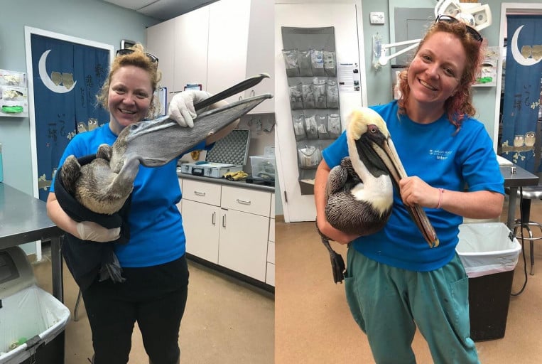 F/25/5'2 [193 Lbs > 157 Lbs = 36 Lbs Lost so Far] My Pelican Handling Skills Have Gotten Much Better, Too!

25 Year Old Woman Loses 36 Pounds, Improves Pelican Handling Skills
