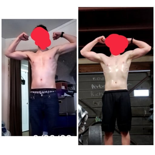 Before and After 31 lbs Weight Gain 6 feet 5 Male 162 lbs to 193 lbs