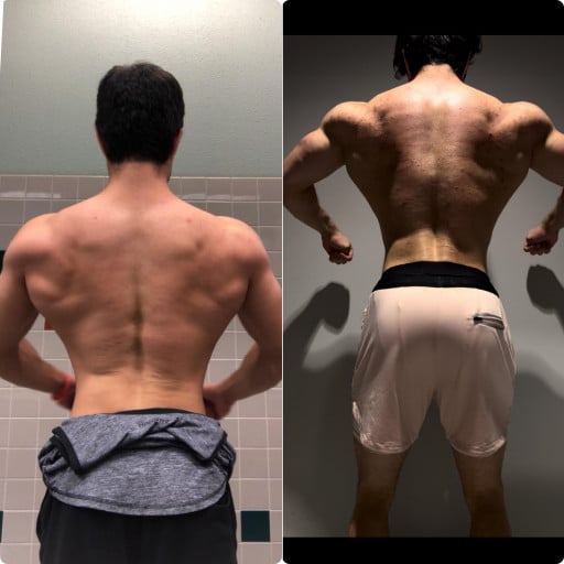 A 3 Year Journey of Weight Gain and Show Cutting for a Reddit User